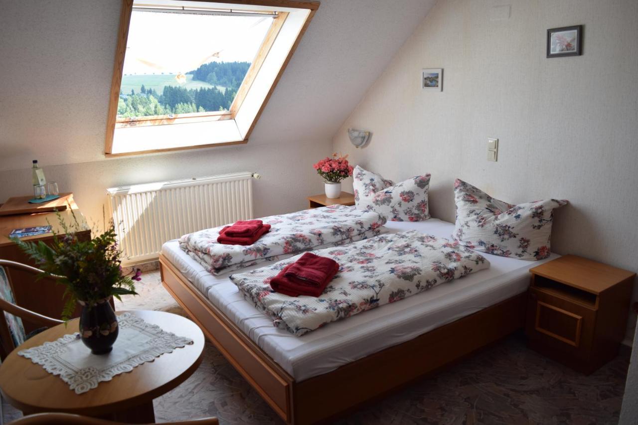 Hotel Carola Schönheide Exteriör bild